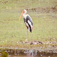 Wind Blend Kite Resort