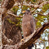 Wind Blend Kite Resort