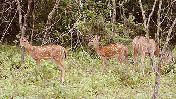 Wind Blend Kite Resort