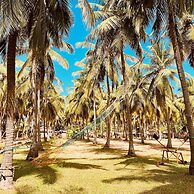 Wind Blend Kite Resort