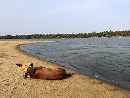 Wind Blend Kite Resort