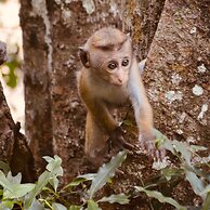 Wind Blend Kite Resort