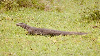 Wind Blend Kite Resort