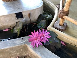 Wind Blend Kite Resort