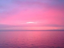 Garden Apartment On The Beach
