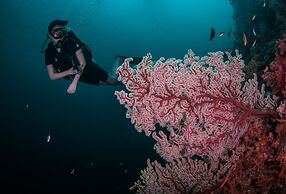 Mango House Seafront Suites And Villas