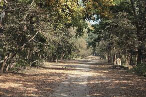 voco Jim Corbett by IHG