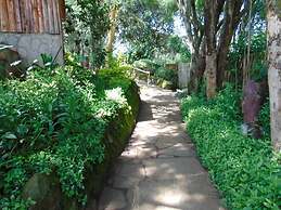 Naro Moru River Lodge