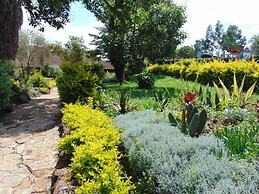 Naro Moru River Lodge