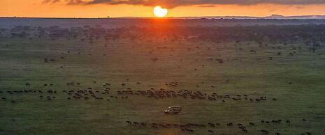 Simba & Oryx Nature Camp