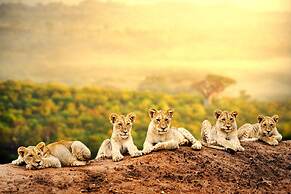 Simba & Oryx Nature Camp