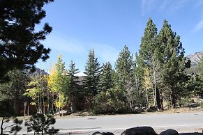 Summit #81 1 Bedroom Condo