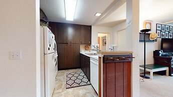 Summit #45 1 Bedroom Condo