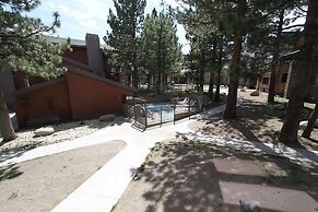 Summit #49 1 Bedroom Condo