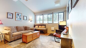 Summit 258 Pet-Friendly, Comfortable, Great Complex Amenities by RedAw