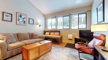 Summit 258 Pet-Friendly, Comfortable, Great Complex Amenities by RedAw