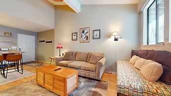 Summit 258 Pet-Friendly, Comfortable, Great Complex Amenities by RedAw