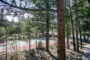 Summit 277 Pet-Friendly, Open Floor Plan, Walk to the Slopes by RedAwn