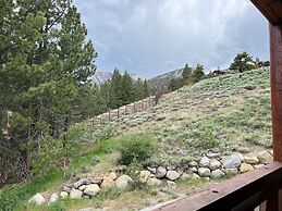 Juniper Crest Townhomes