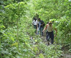Bago Yoma Eco Resort