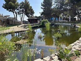 Hotel El Cisne