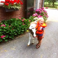 Ruyge Weyde Logies