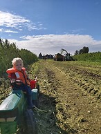 Ruyge Weyde Logies