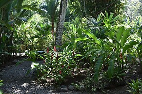 El Jardin de Playa Negra