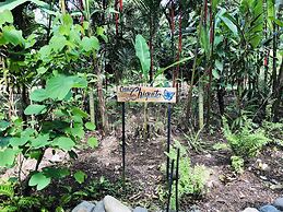 El Jardin de Playa Negra