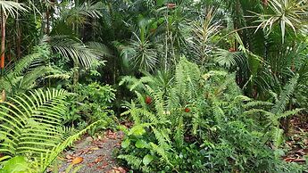 El Jardin de Playa Negra