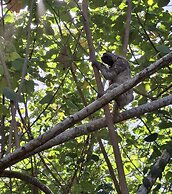 El Jardin de Playa Negra