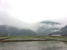 Phoenix Landscaping B&B