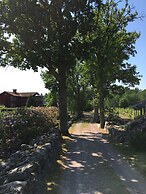 Åmund Vin & Fruktgård