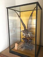 VOYAN Resort FUJIYAMANAKAKO GEKKOSO