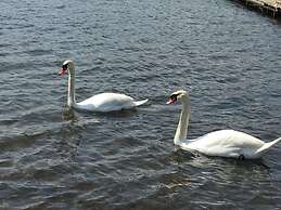 VOYAN Resort FUJIYAMANAKAKO GEKKOSO