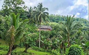 Volcano House