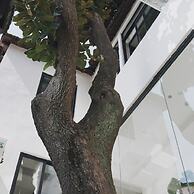 Suzhou Cloud Art Inn