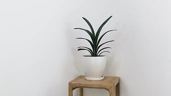 Suzhou Cloud Art Inn