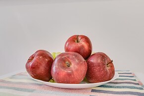 Sokroma Paya-Sofiya Aparts