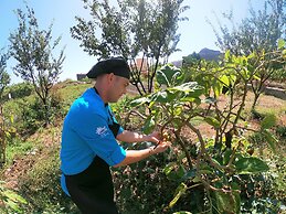 Hotel Jardín Tecina