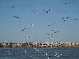 Hotel Residenza Giardino