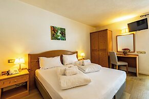 Hotel Grizzly