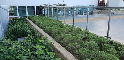 Mactan Newtown with Ocean View