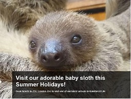 The Euston St Pancras Apartments