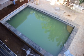 Kailash Garden Homestay