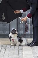 Four Seasons Hotel Bengaluru at Embassy One