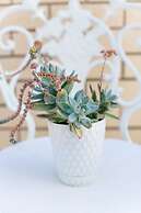 Luvi Kaş Otel - Adults Only