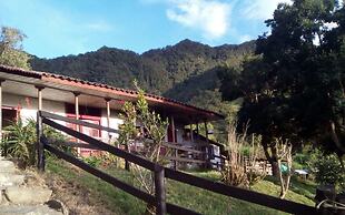 Finca Los Arboles