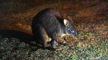 Arthur River Spa Cottage