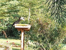 T and T House - Adults Only